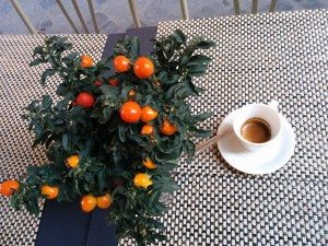 IMG_20151211_084543